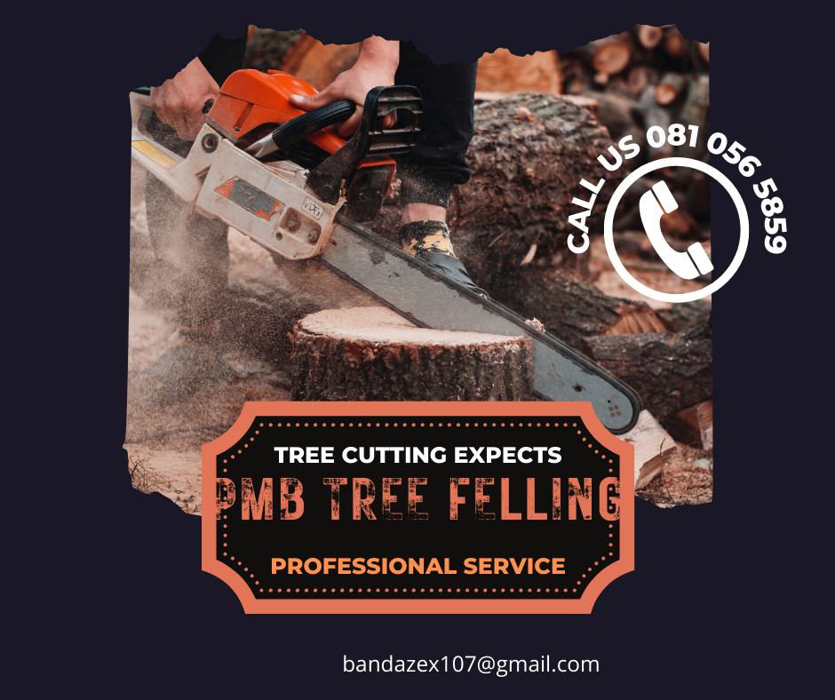 Tree care professional