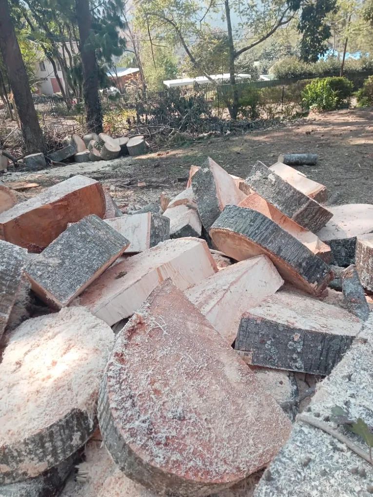 Stump grinding